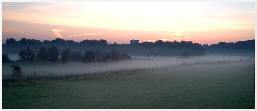 Bodennebel 3