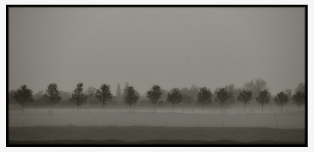 BODENNEBEL