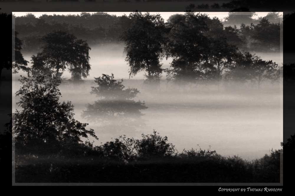 Bodennebel