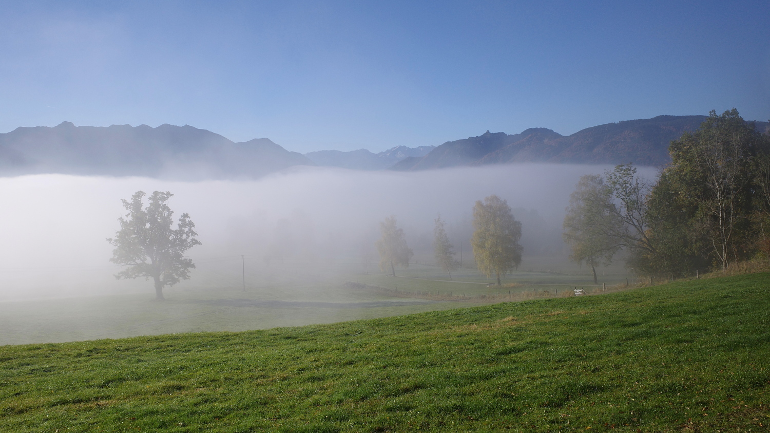 Bodennebel