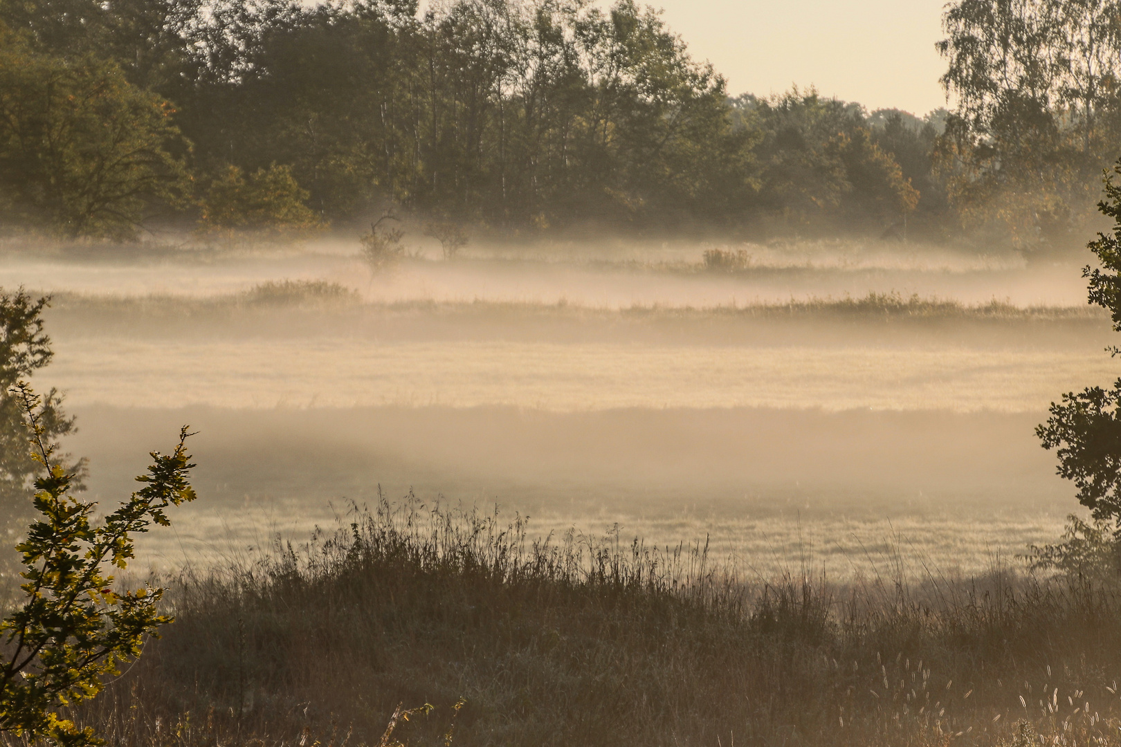 Bodennebel