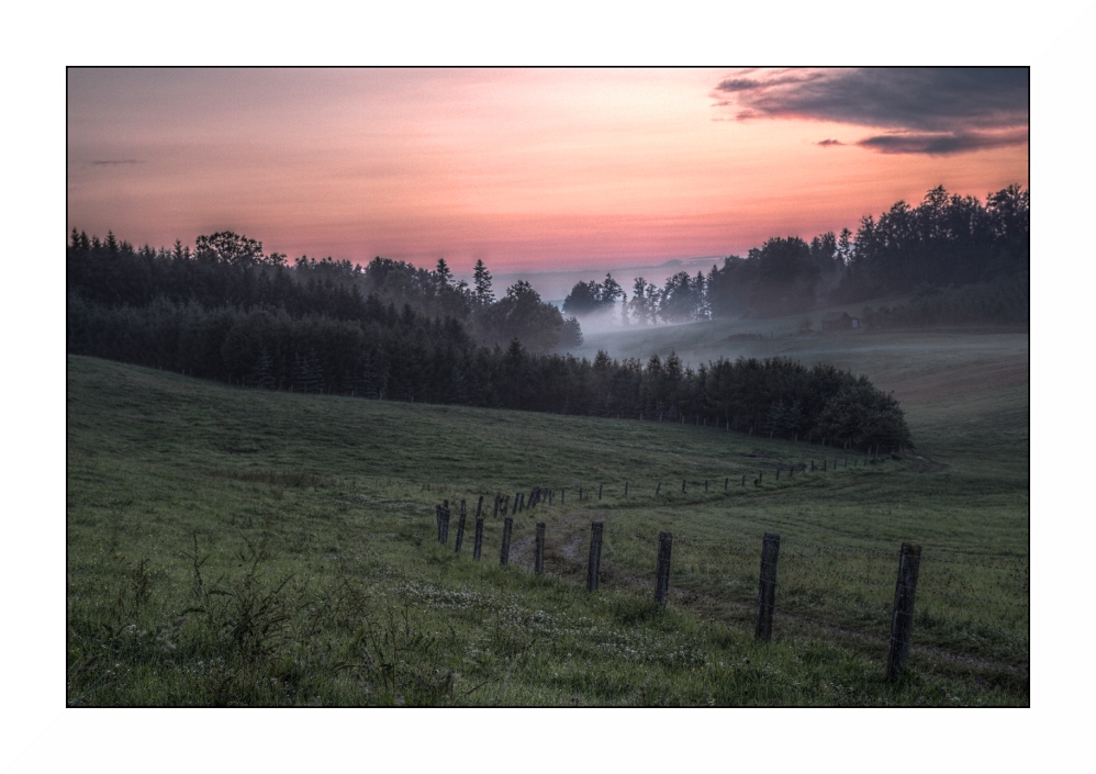 Bodennebel