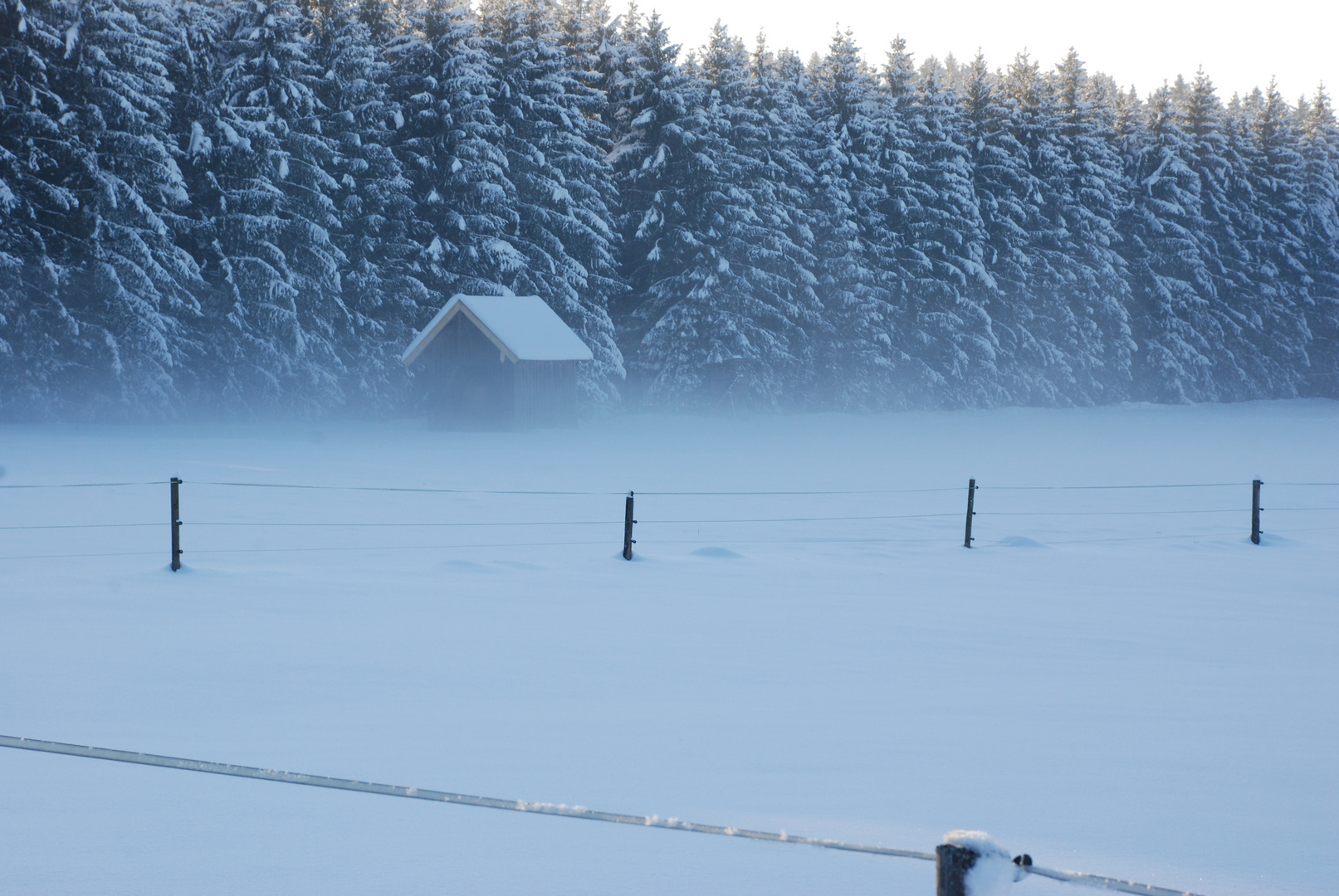 Bodennebel