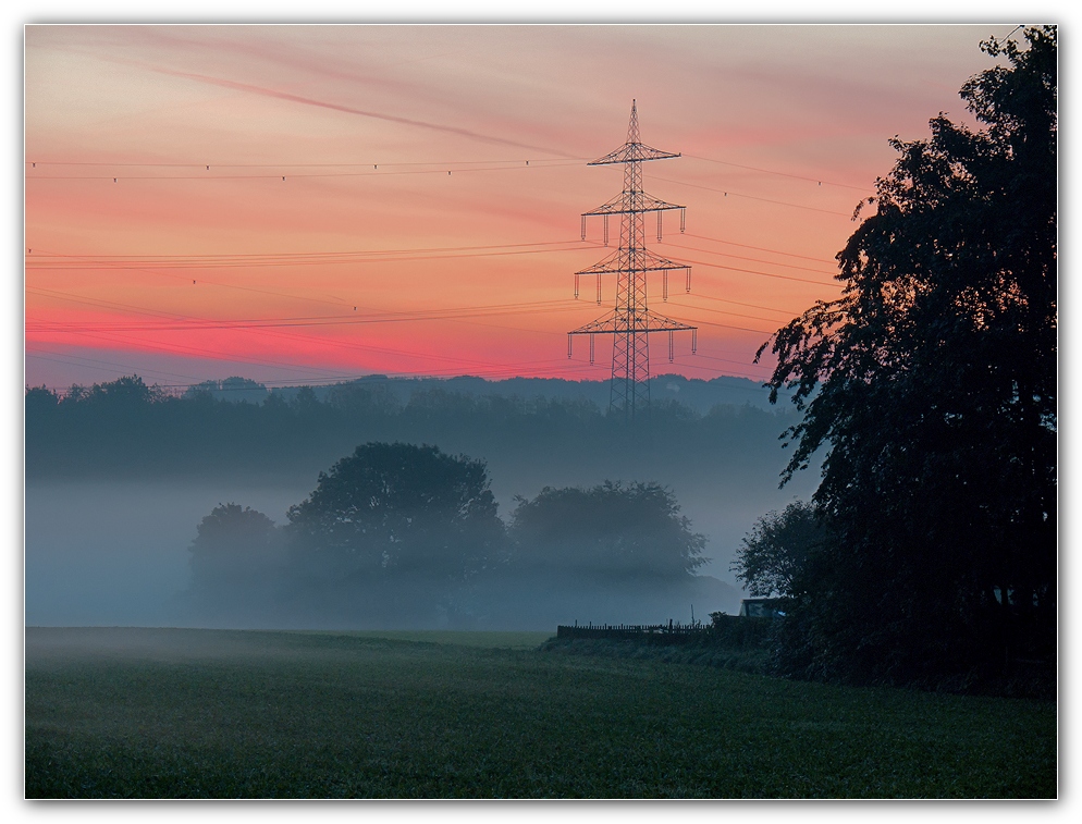 Bodennebel