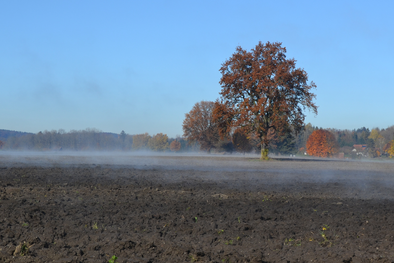 Bodennebel