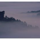 Bodennebel