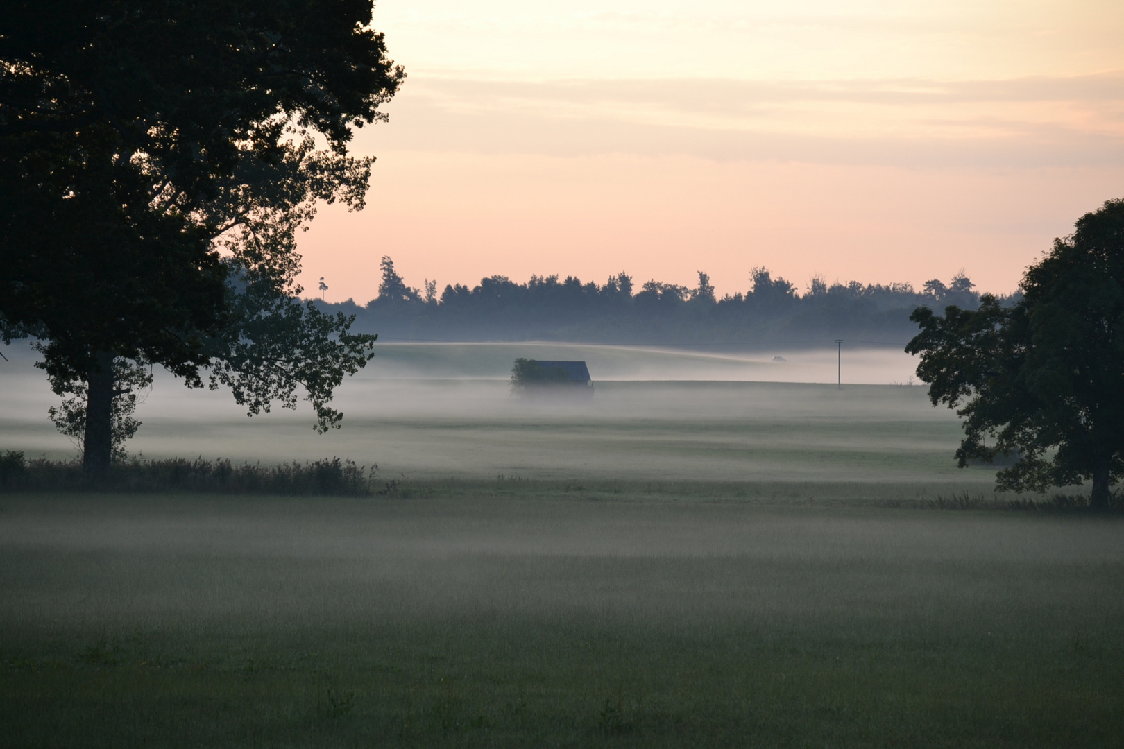 Bodennebel 