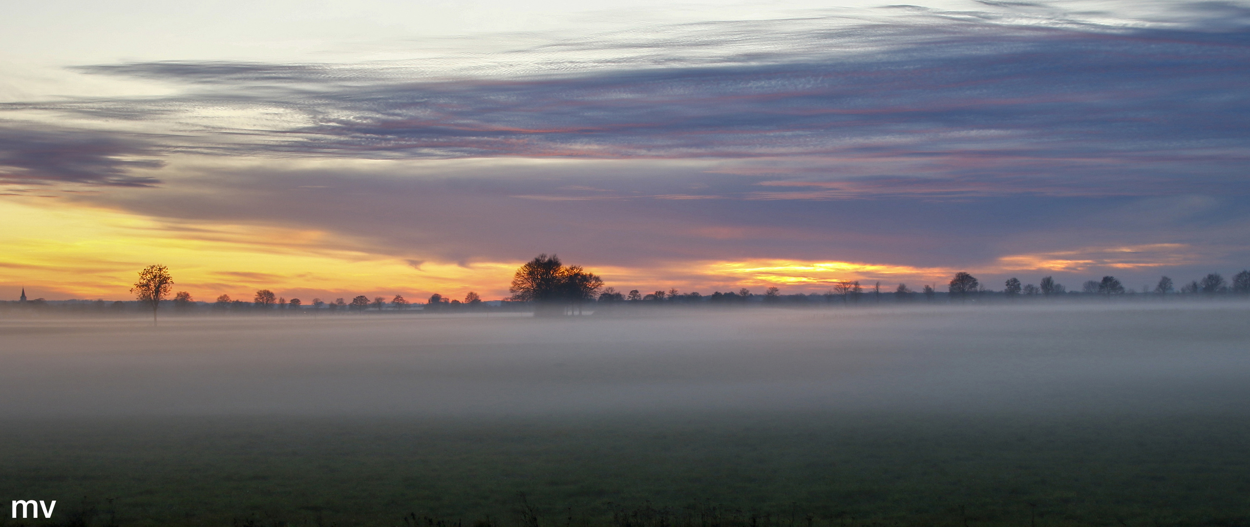 Bodennebel