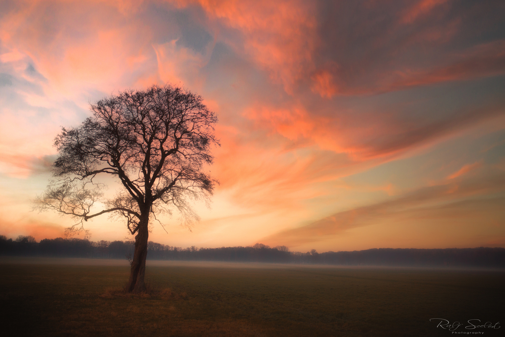 Bodennebel