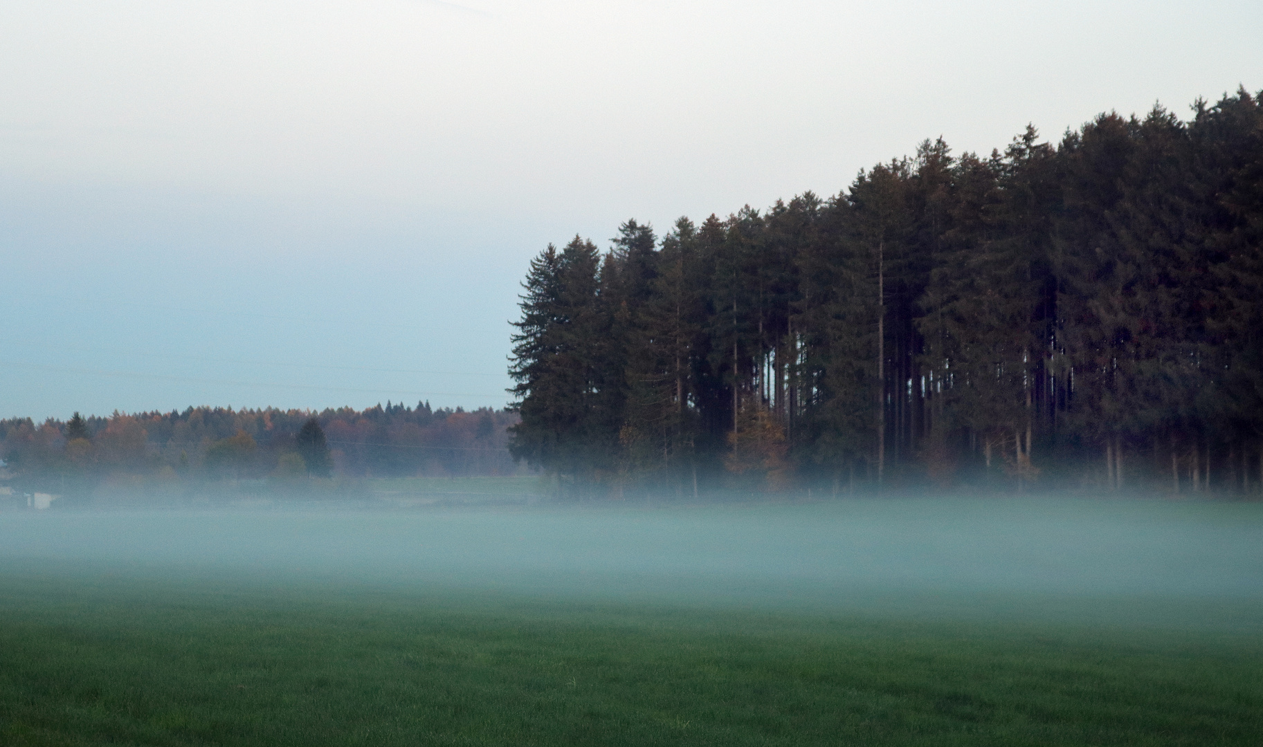 Bodennebel