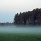 Bodennebel