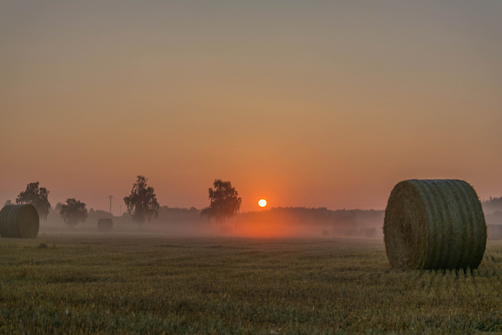 Bodennebel