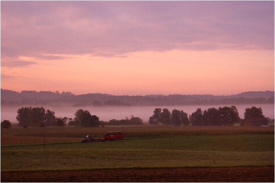 Bodennebel