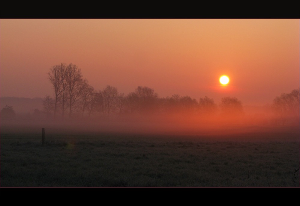 Bodennebel