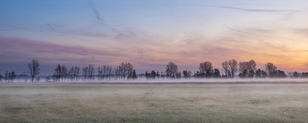 Bodennebel