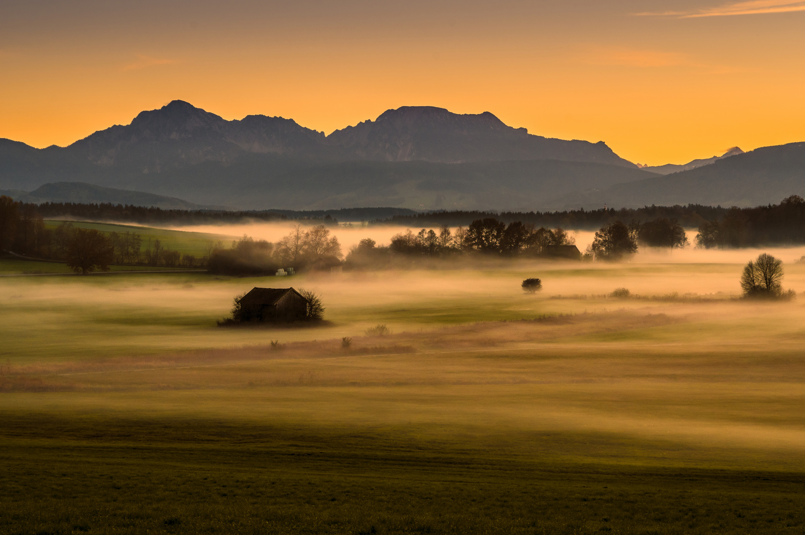 Bodennebel