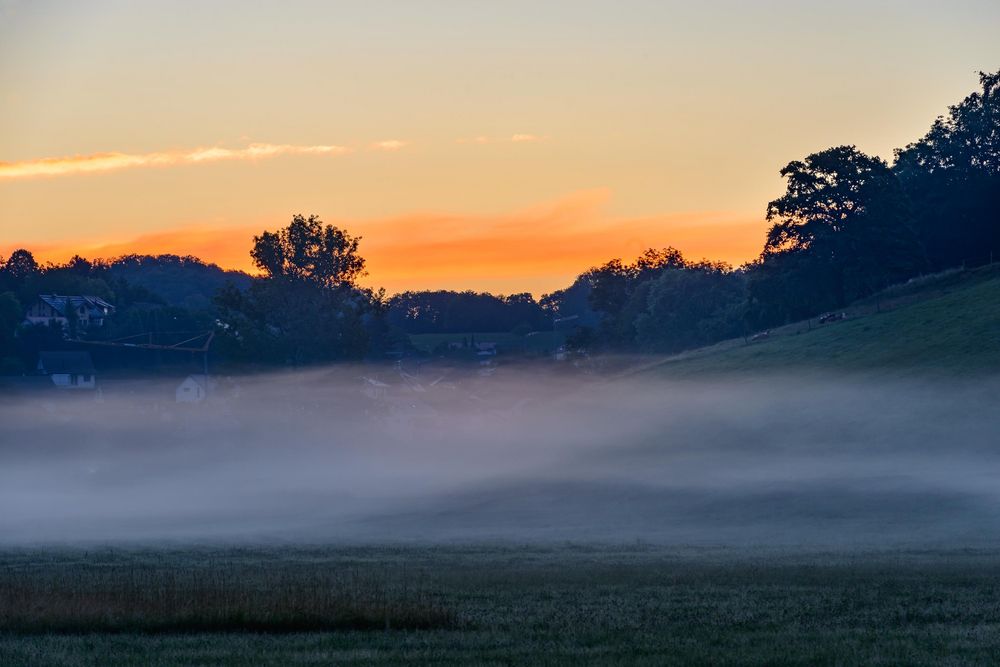 Bodennebel