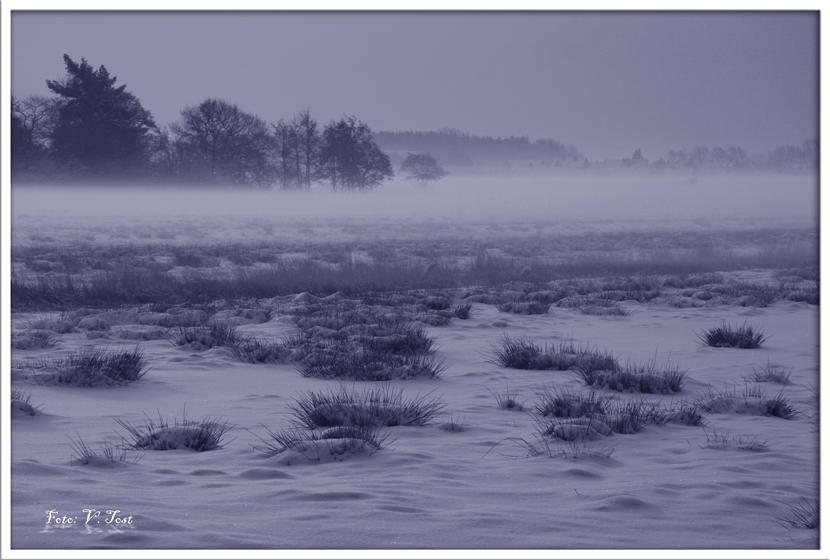 Bodennebel