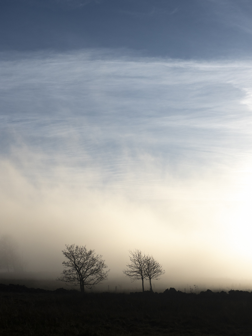 Bodennebel