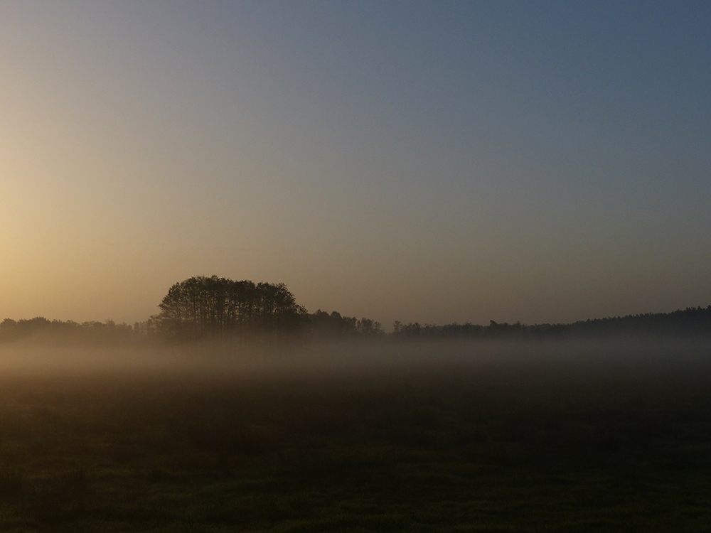 Bodennebel