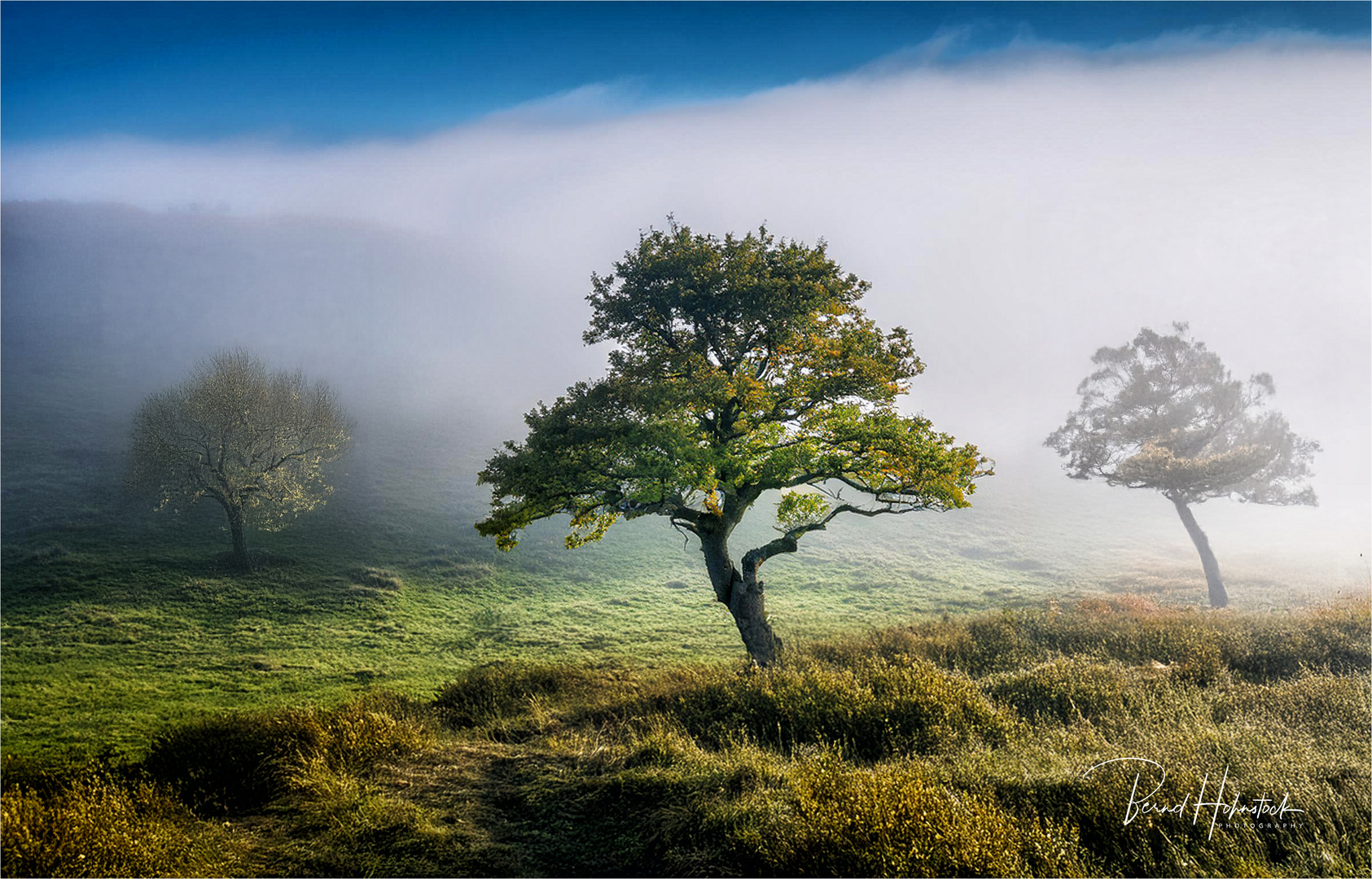 Bodennebel .....