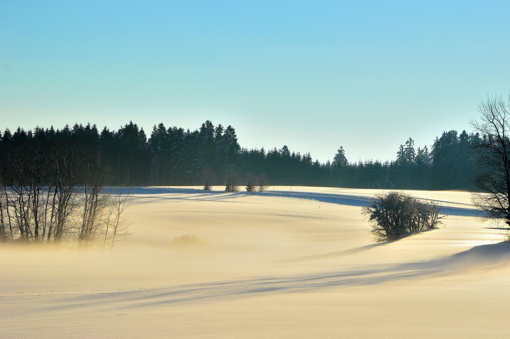 Bodennebel