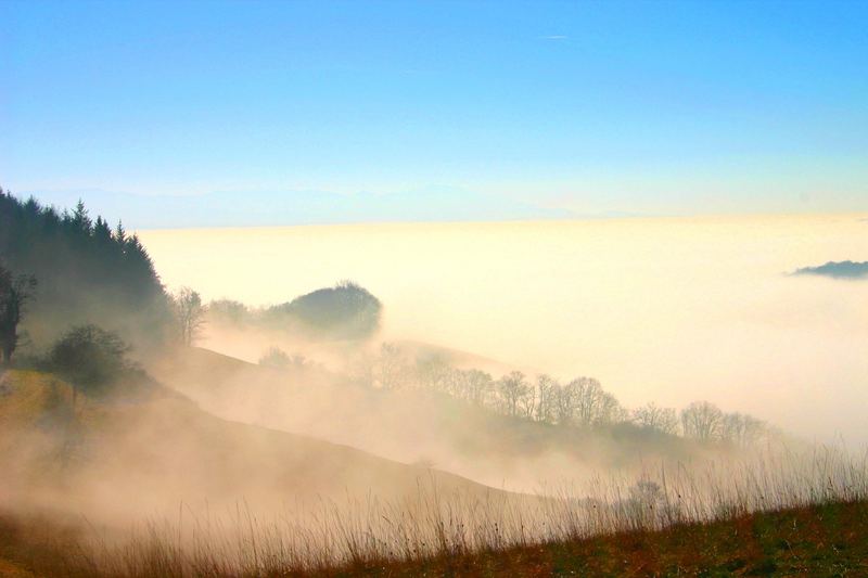 Bodennebel