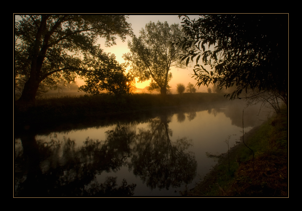 Bode(n)nebel