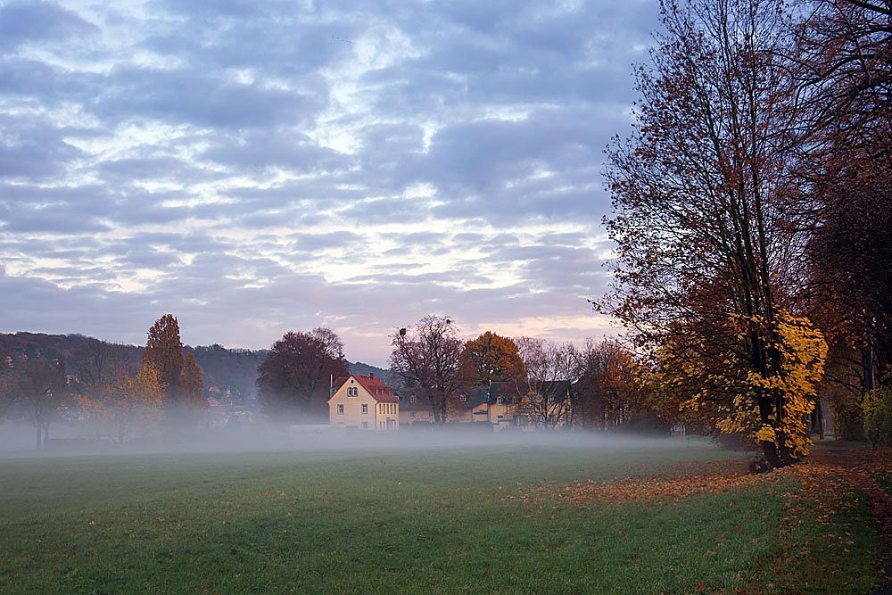 Bodennebel abends am Tolkewitzer Hof