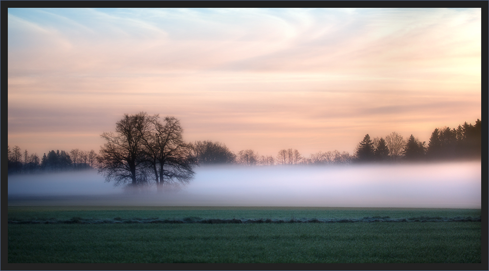 Bodennebel