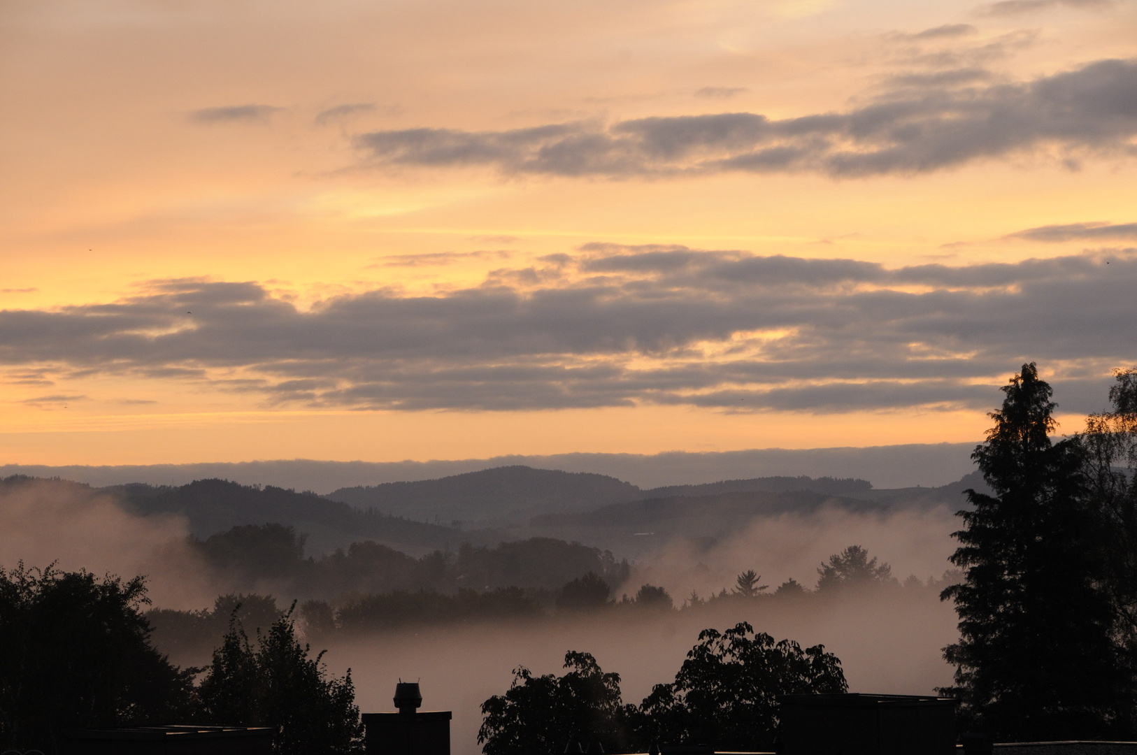 Bodennebel