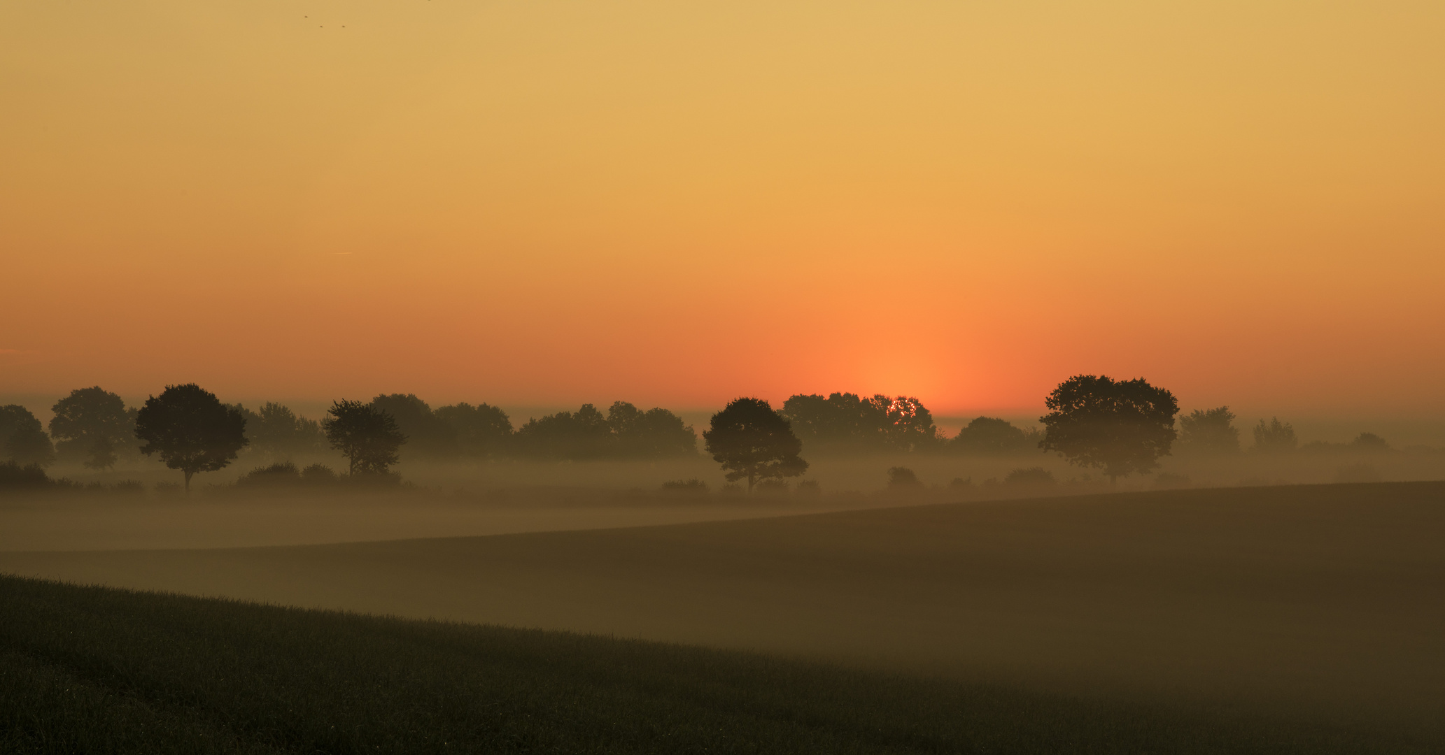 Bodennebel...