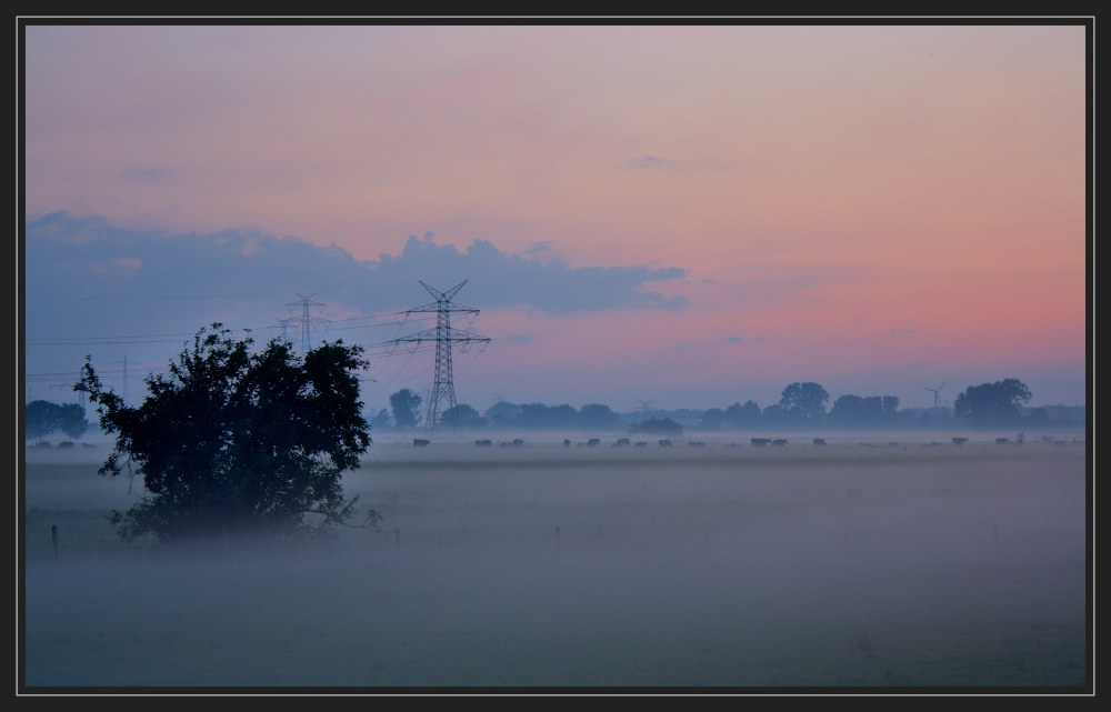 Bodennebel