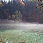 Bodennebel am Badersee in Grainau bei Garmisch-Partenkirchen