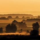 Bodennebel am Morgen