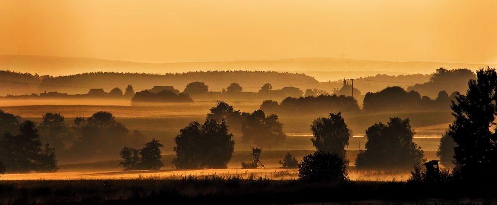 Bodennebel am Morgen