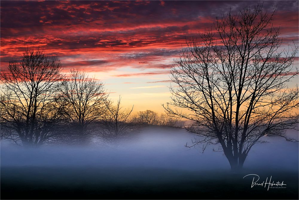 Bodennebel am Niederrhein .....