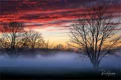 Bodennebel am Niederrhein .....