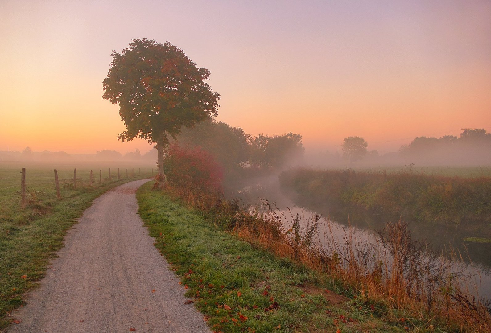 Bodennebel an der Werse in Münster 