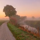 Bodennebel an der Werse in Münster 