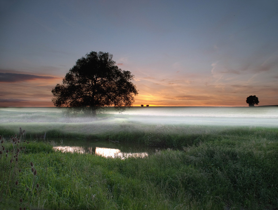 Bodennebel