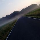 Bodennebel*-*