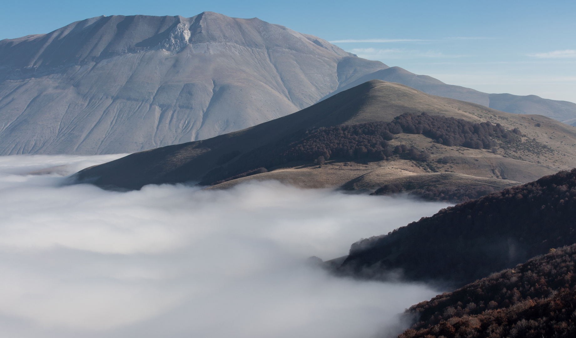 Bodennebel