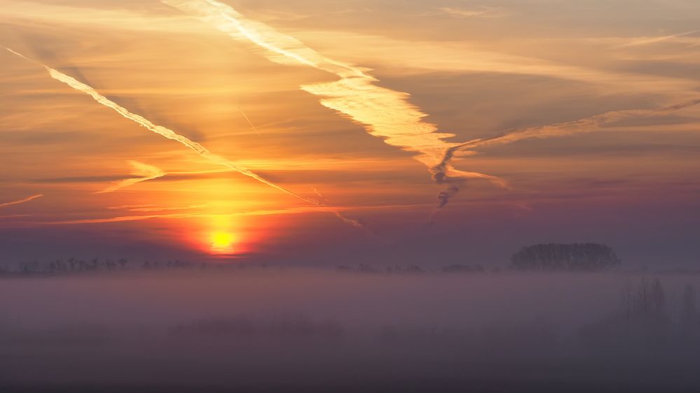 Bodennebel