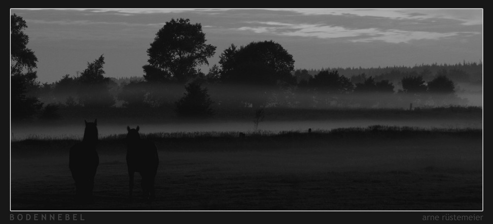 Bodennebel bei Augsburg/Husum