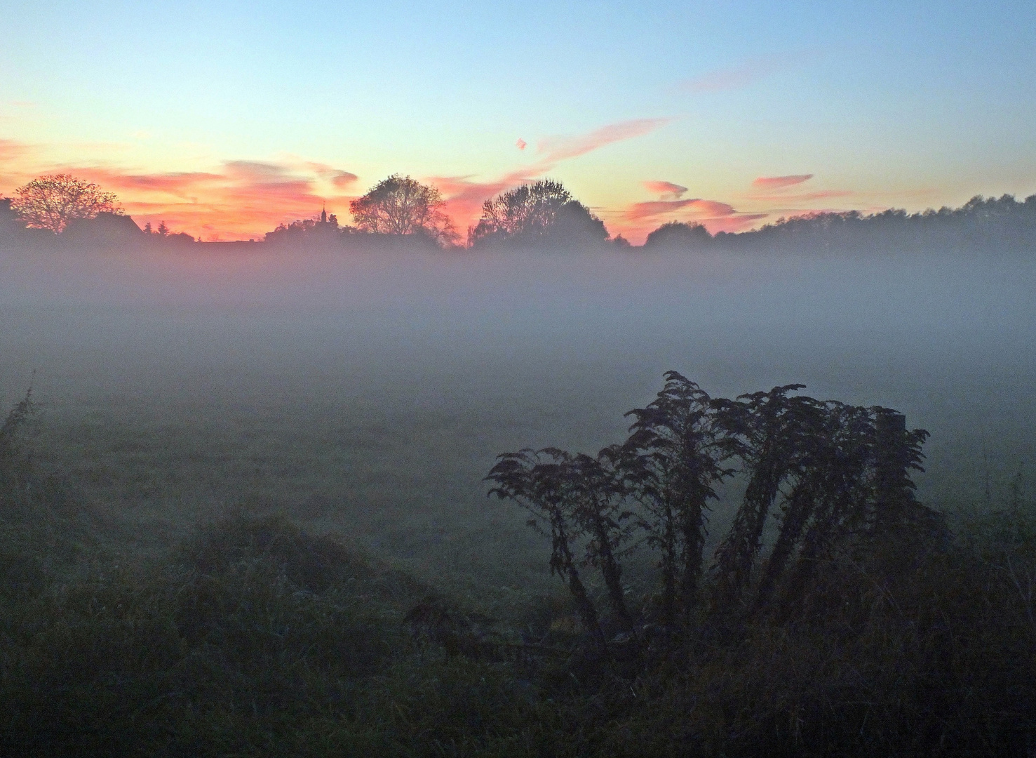 Bodennebel beim Sonnenuntergang