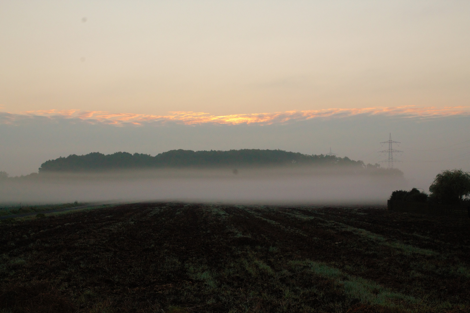 Bodennebel