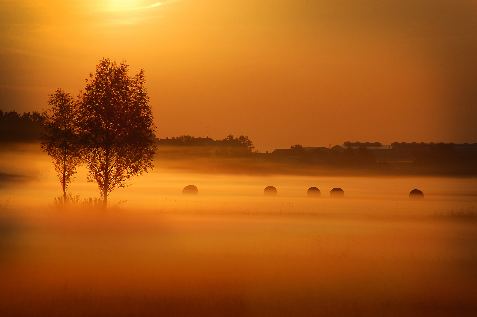 Bodennebel 