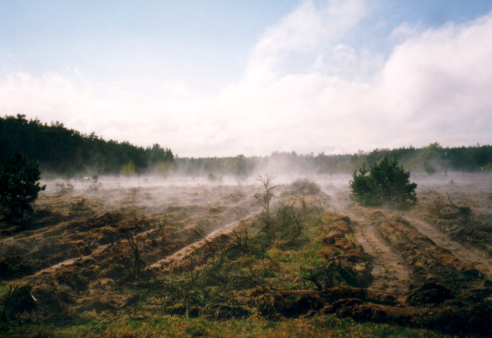 Bodennebel