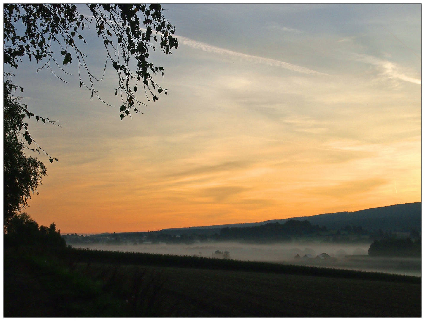 Bodennebel